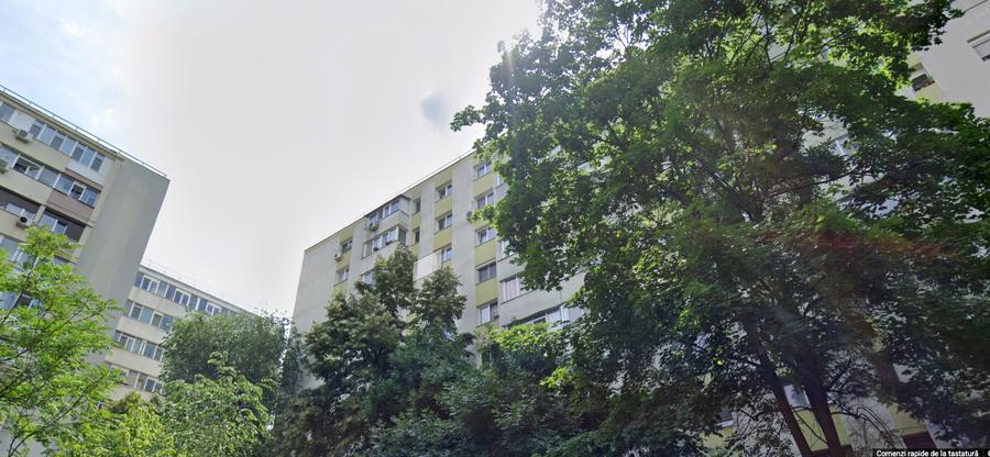 Lacul Tei x Teiul Doamnei, langa Facultatea de Constructii si Parcul Tei - 1