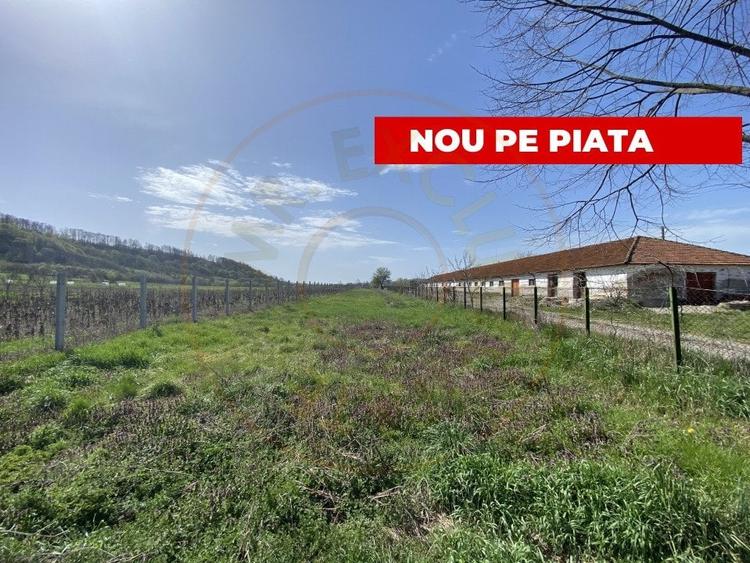 Teren intravilan cu grajduri si anexe – Aninoasa AG - 1