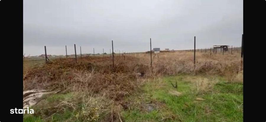 Teren 1845 mp Com Berceni - 1