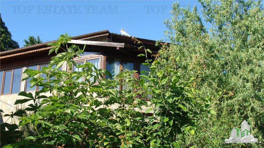 Super afacere, vila cu aspect de conac cu spatii moderne dar si clasice antichiz - 2