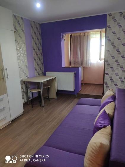 cv 142 D.Voda, apartament 1 camera , etaj III - 4