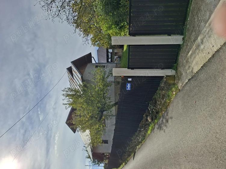 Vand casa Cerasu - 12