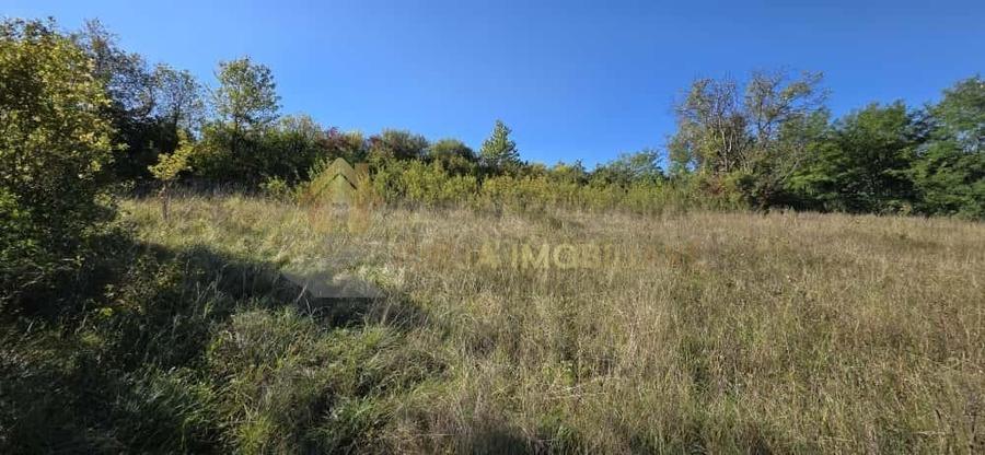 TEREN INTRAVILAN 11000 MP - 9