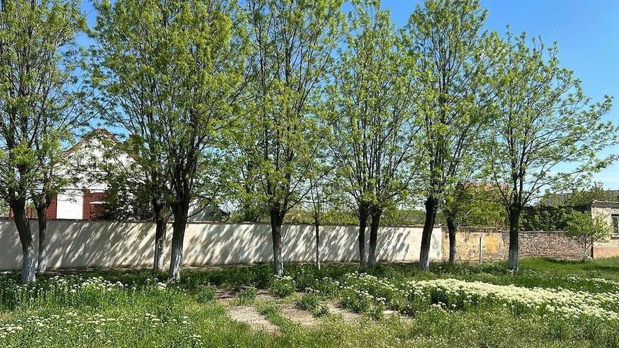 Proprietate generoasa, teren 6000 mp ideala pentru familie extinsa sau investi?ie - 4