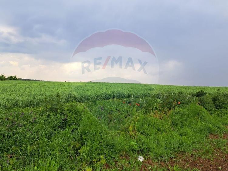 Teren Ciolpani 15.000 mp oportunitate posibilitate lotizare 5000 mp - 4