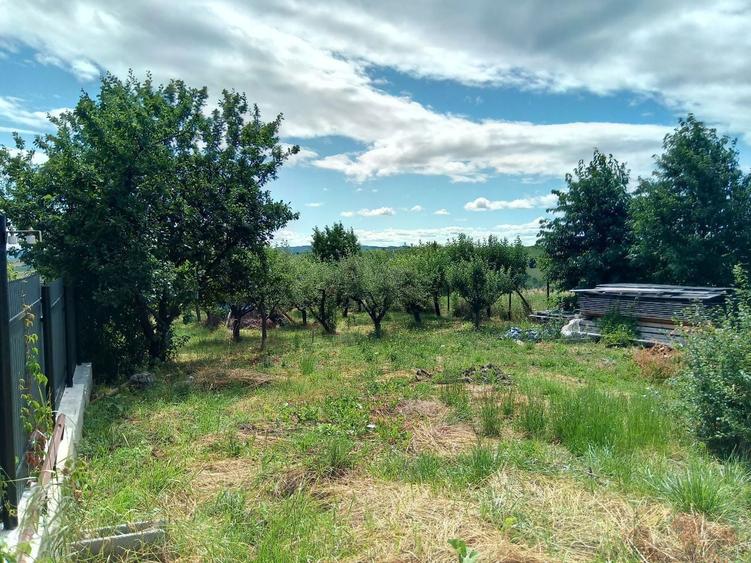 Vand teren constructii+livada in Filioara jud NT 13Eur/mp - 6