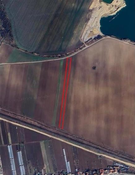 RECO Teren extravilan 2700mp Bors - 1