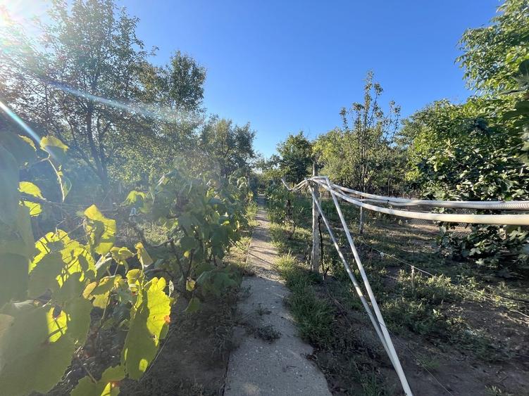 Casă de vânzare în Ronat – comision 0% - 24