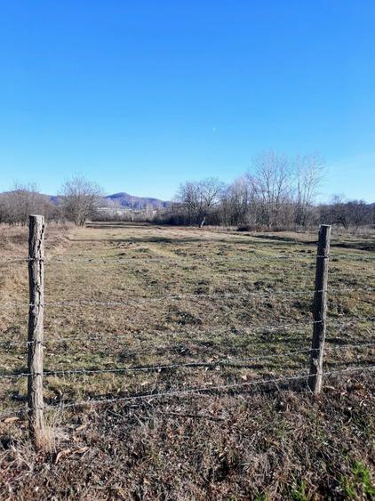 Teren 5296m2 Pucioasa deschidere 28m acces drum asfaltat DN71-DC136A - 6