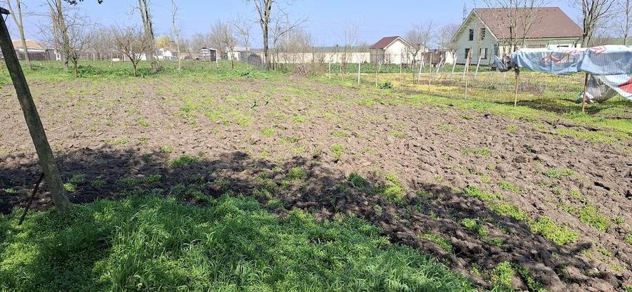 Casa Ciocarlia 100 mp + 1600 mp curte - 1