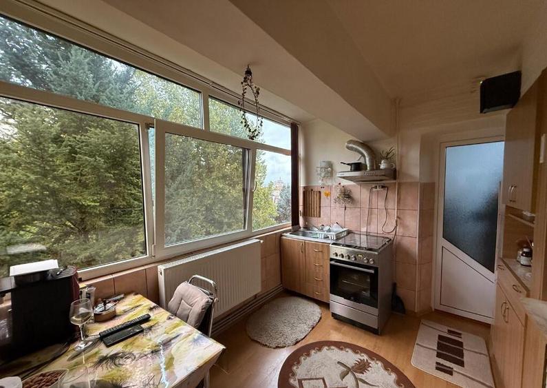 Apartament cu 2 camere,etaj 3, zona Ulpia - 6