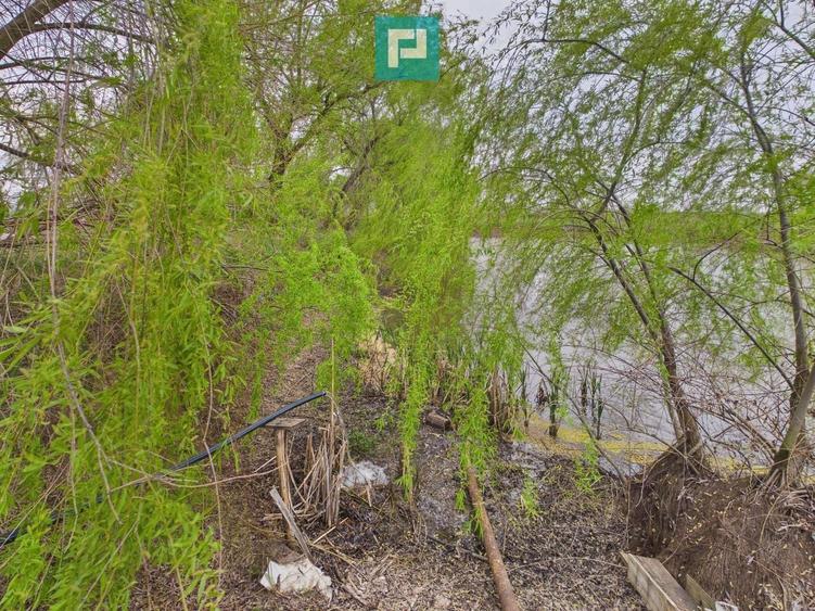 Teren 1 ha cu baltă populată – Alioș (Mașloc) - 10