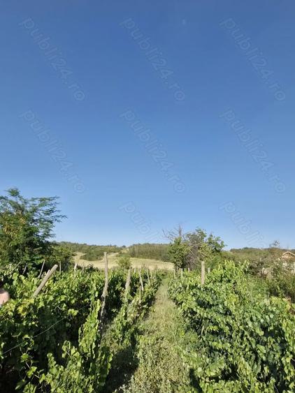 Casa de vanzare 81 mp cu teren 1455 mp intravilan si teren extravilan de 2200 mp - 5