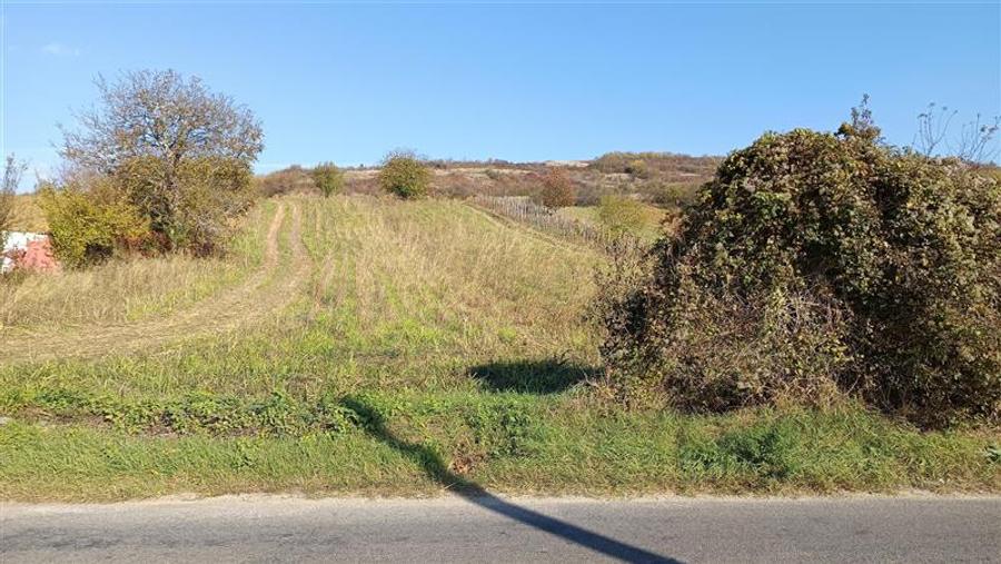 Teren Intravilan langa Dunare!  Disponibil la 15 Euro mp - 3