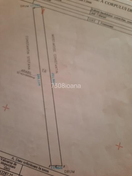 Vând teren Frumusani Vând teren Frumusani