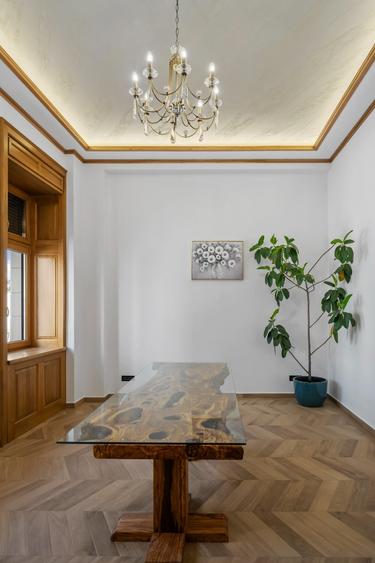 VILA ISTORICA CISMIGIU - COMPLET RENOVATA - 31