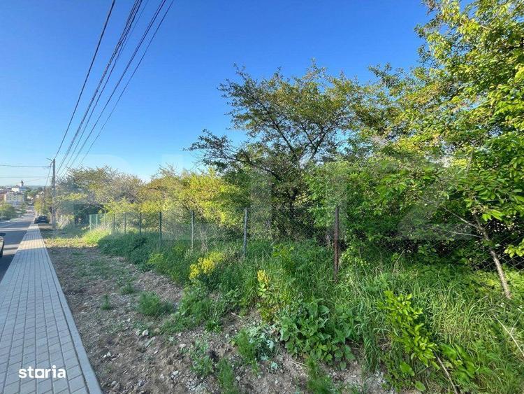 Teren intravilan ,cu vegetatie, 2700 mp, zona Siret - 4