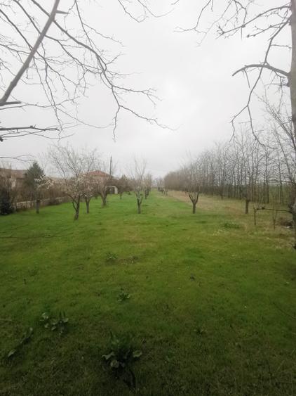 Teren Intravilan Techirghiol 4350mp - 3