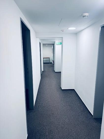 Spații Comerciale Închiriere/Vanzare/Rent/Sale - 9