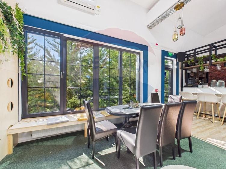 Spatiu comercial /Restaurant cu terasa superba in comuna Berceni - 5