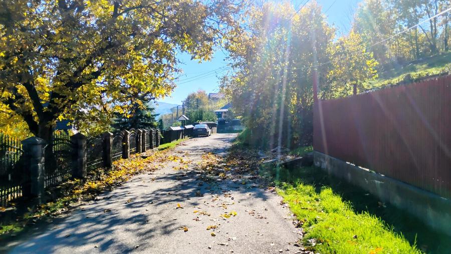 🌲 Teren 3600 mp langa Piatra Neamț, la asfalt, utilitati - 2