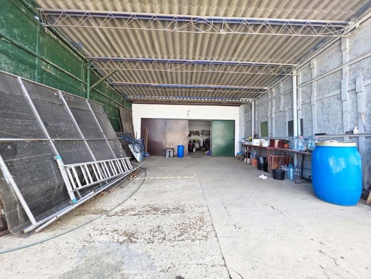 Ferma de vanzare – Oportunitate unica la doar 20 de minute de Constanta! - 18