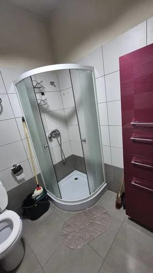 Gorjului | Garsoniera | Bloc Nou | Centrala | Modern - 5