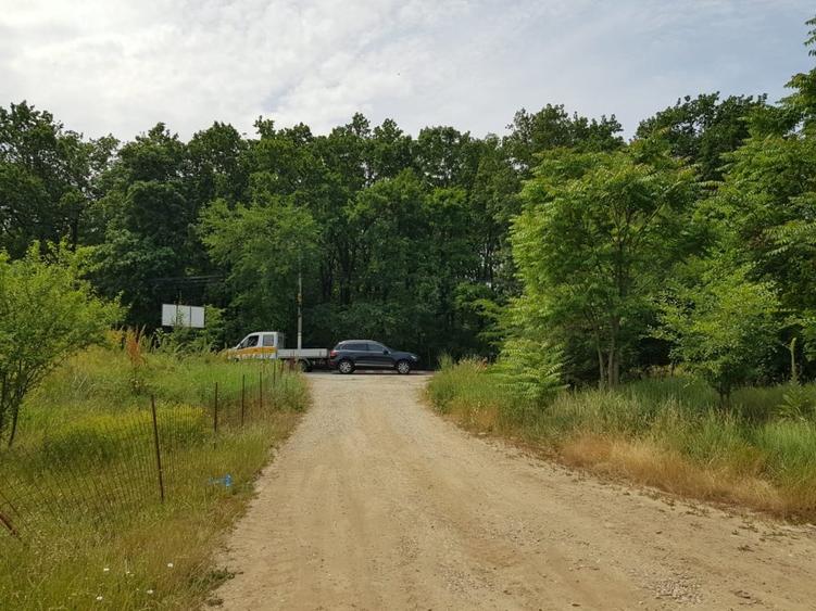 3000 m2 plasat exceptional, vest de Voluntari - 12