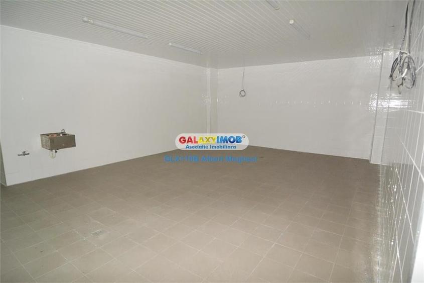 Inchiriere vanzare spatiu productie alimentara P-ta Delfinului - 8