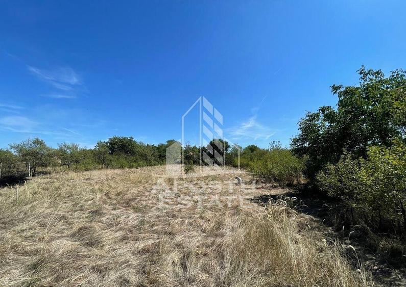 Casa cu teren 3407 mp, la asfalt, Seceani, 26 km de Timis... - 3