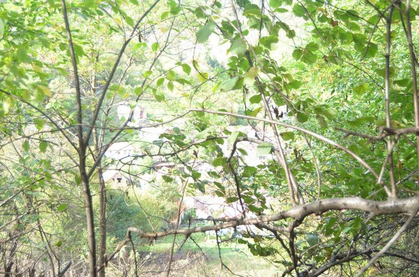 Brasov-Schei -Teren intravilan de vanzare - 6