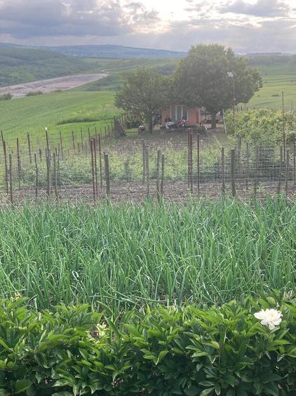 Teren de 2000 mp, în Dezmir