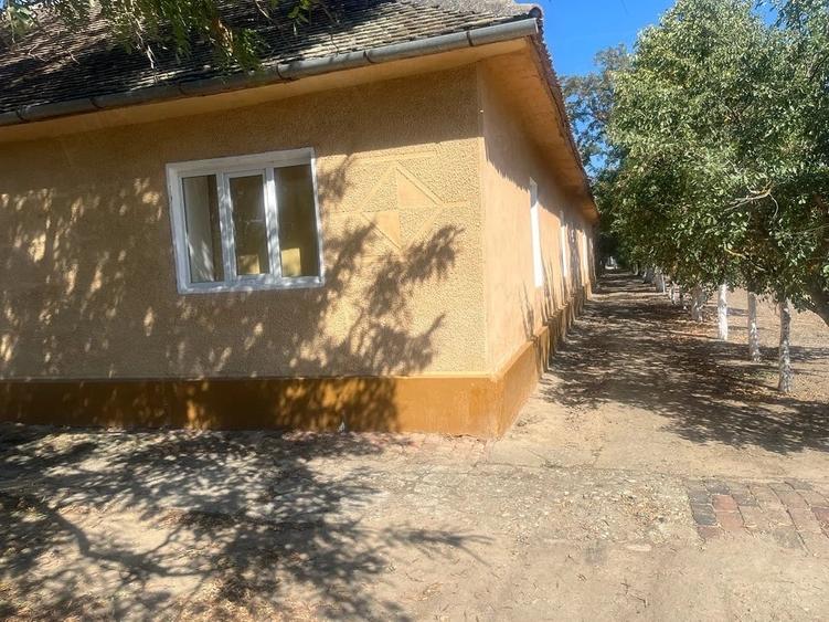 Casă cu 6 camere cu Teren 3000 Mp în Rudna