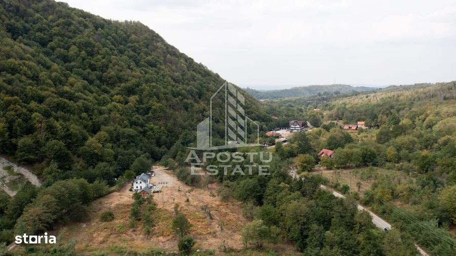 Spațiu comercial, în Borlova