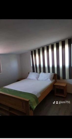 Vila De Vanzare sau Inchiriat Ternen Foarte Lung - 5