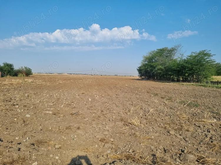 Teren de 4000 mp, în Bălăceanca