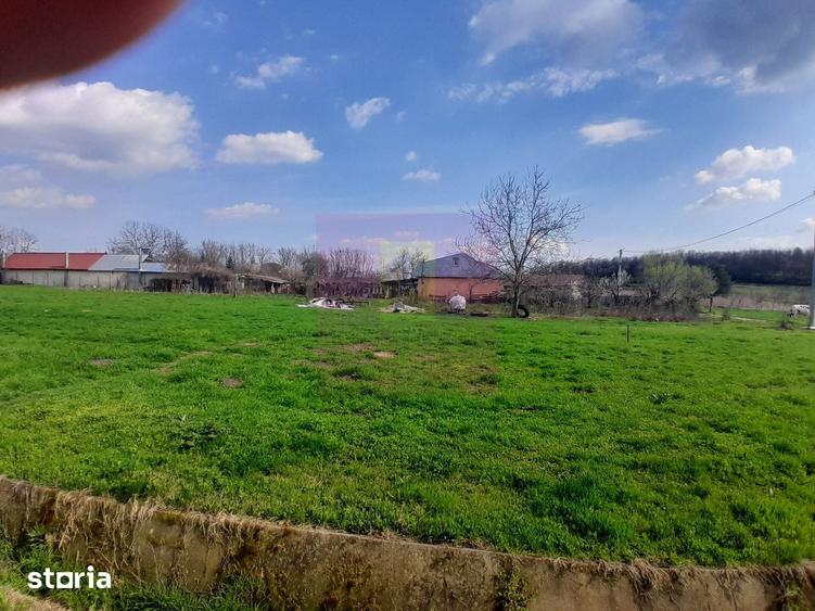 Teren de 3400 mp, în Buturugeni