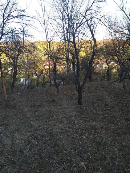 Teren de 3788 mp, în Costești