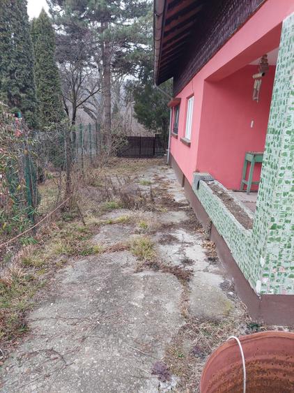 Casa vacanta Breaza - 7