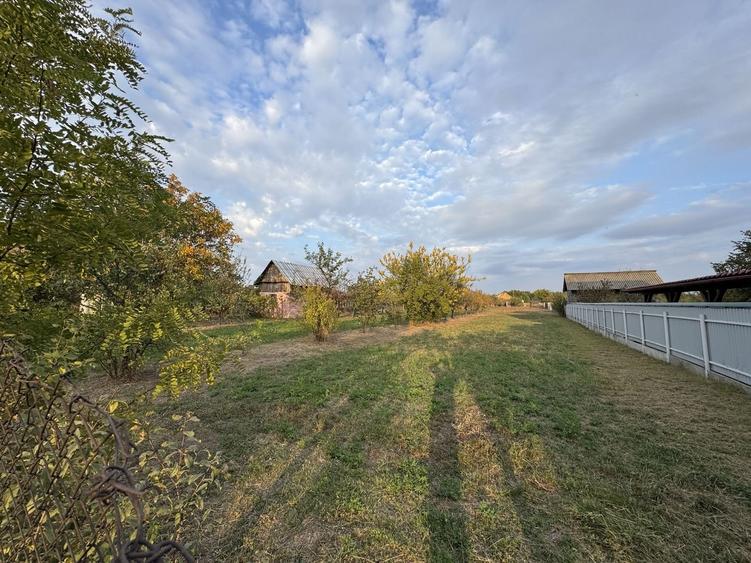 Teren Intravilan Becicherecu Mic In Vatra Satului,1104 mp,Fs. 14m - 4