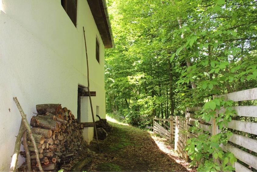 Vand cabana pe Valea Sebesului - 6