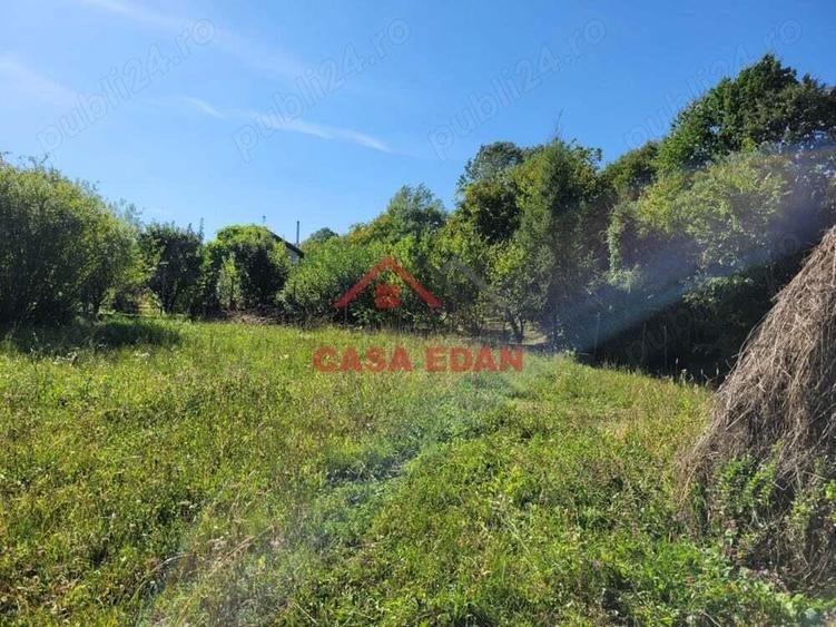 Teren intravilan in Poiana Campina 4285 mp parcelabil 11,6e - 5