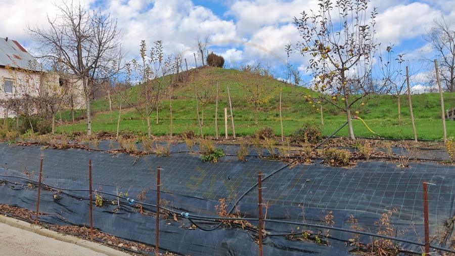 Teren intravilan cu casa veche – Mioveni, zona Faget - 3