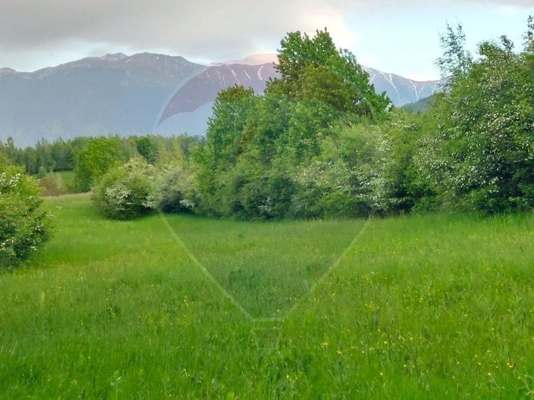 Teren Bran-Zarnesti - Tohanita, 4223mp - 8