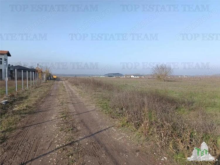 Super teren intravilan (Lot 1) la DJ 101, loc. Gruiu IF, ideal pentru dezvoltatori imobiliari pentr - 2