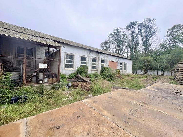 Teren in mijlocul padurii Valu lui Traian 1875 mp si cladire 450 mp hala - 4