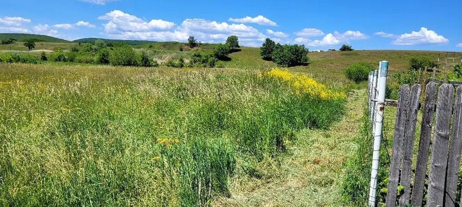 Teren Intravilan Podul Olt - 3