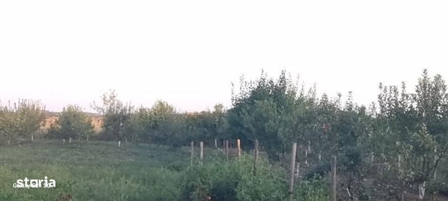 Vand casa in localitatea Micula - 2