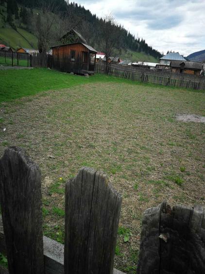 Teren intravilan Borca, jud. Neamt - 3