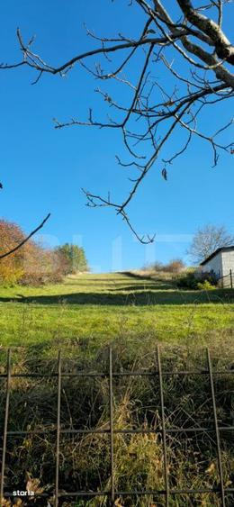 Teren de Vanzare, Burdujeni Sat, 24,6ari, toate utilitatile - 2